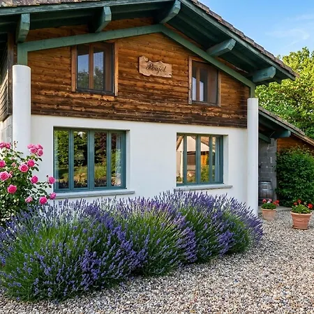 Holidayhomepoujol 6 Persons Village de vacances